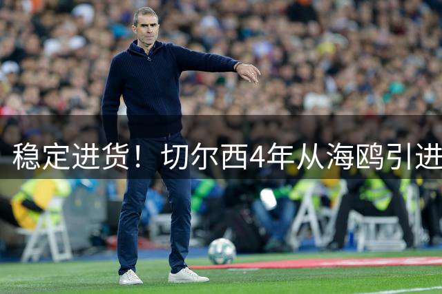 稳定进货！切尔西4年从海鸥引进4人+1教练，消费近3亿欧再签黑贝