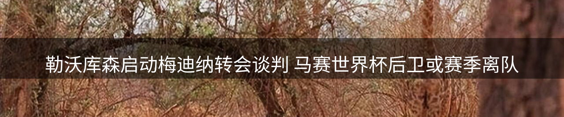 品牌资讯